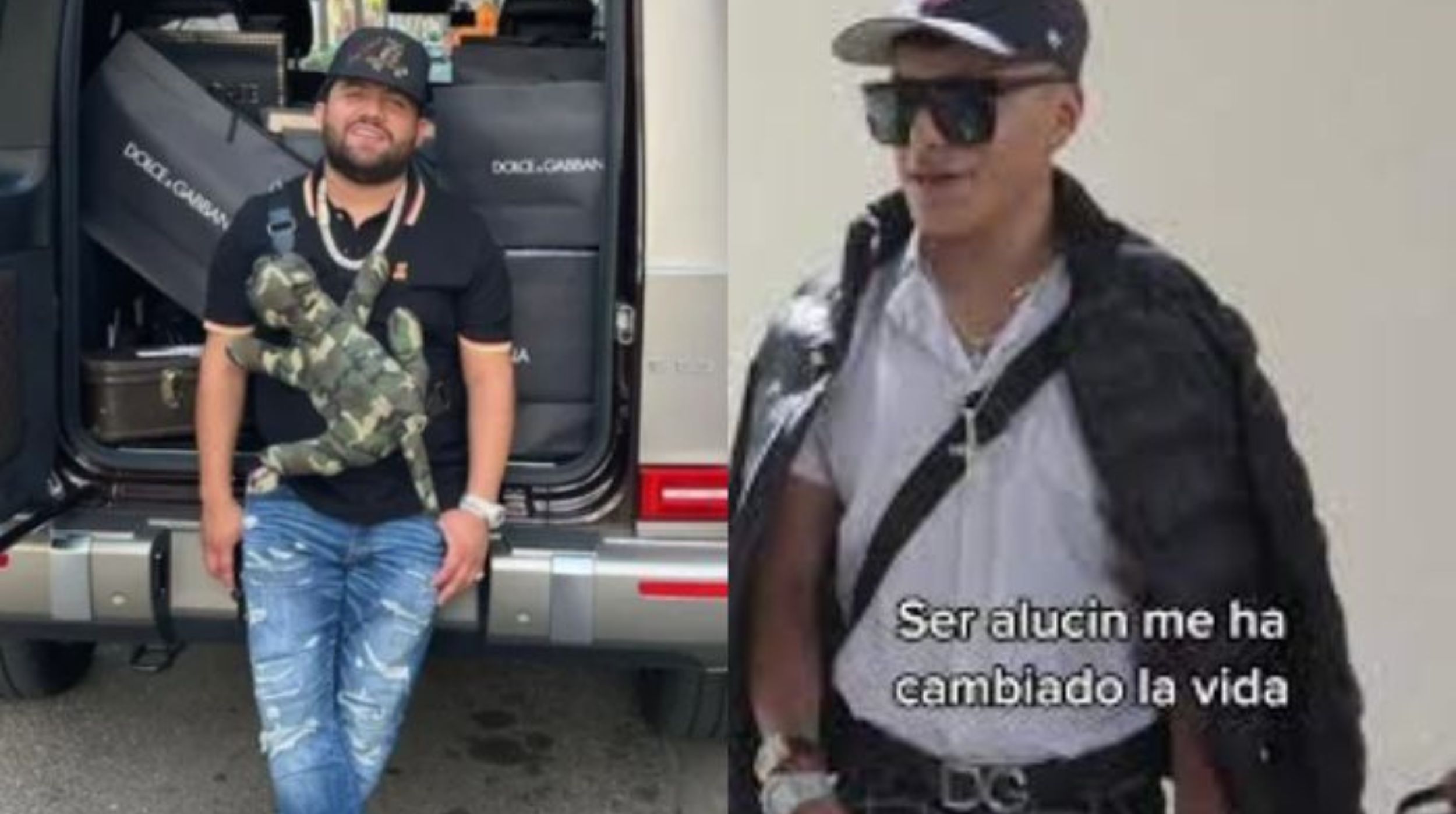 c-mo-se-puede-diferenciar-entre-buch-n-b-lico-y-aluc-n-noticias